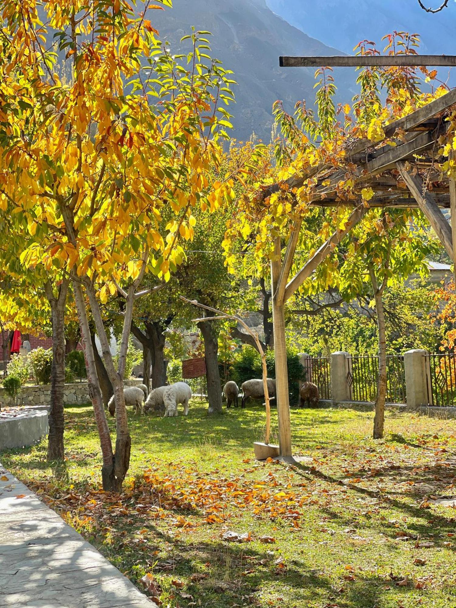 Dumani Nagar Hotel & Resort Karimabad  Exterior photo